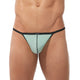 TORRIDZ String
