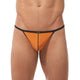 TORRIDZ String
