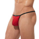 TORRIDZ String