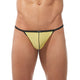 TORRIDZ String