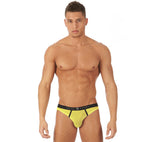 TORRIDZ Basic Briefs