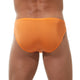 WONDER Briefs