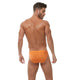 WONDER Briefs