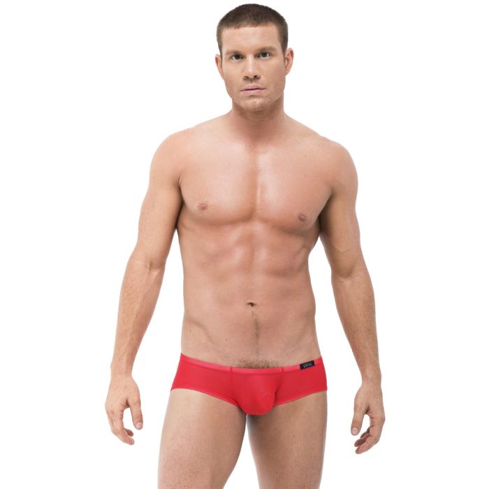 Torridz Boxer Briefs underwear from Gregg Homme