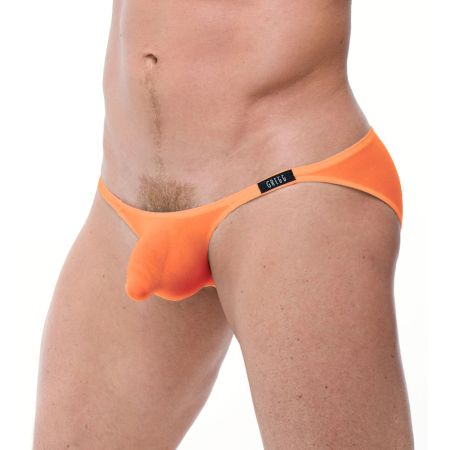 Torridz Briefs underwear from Gregg Homme